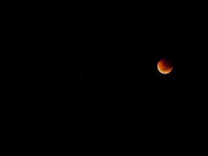 Photo of the early stage of the 2011 lunar eclipse.